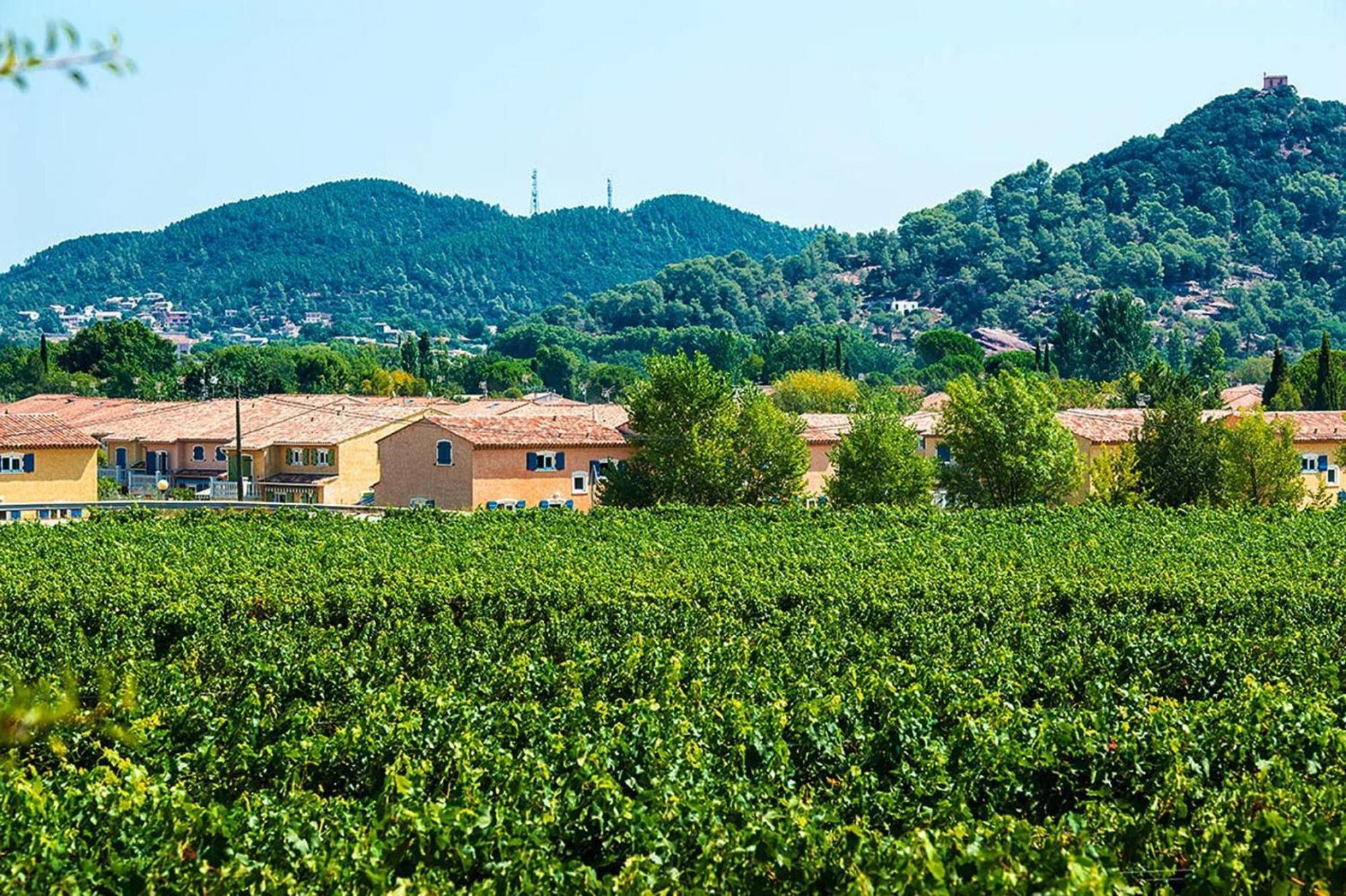 Terraced House With Air Conditioning In The Residence Le Clos Des Oliviers ヴィドーバン エクステリア 写真